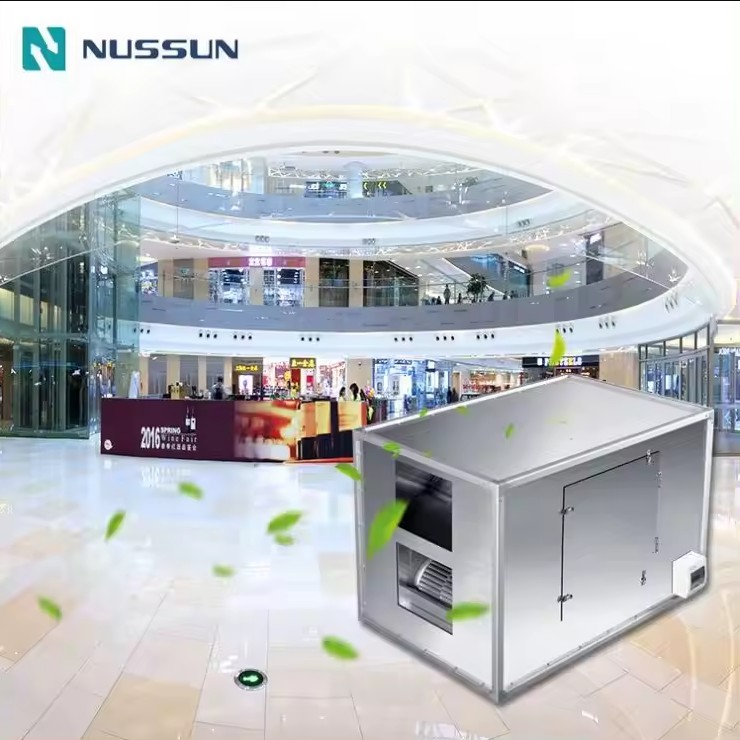 NUSSUN 6000 m3/h Central Ceiling Type Heat Energy Recovery Fresh Air Ventilation Unit Erv Hrv Home Hvac System